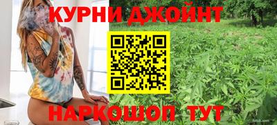 ECSTASY Гатчина