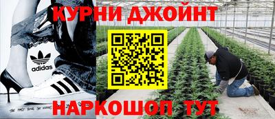 амф Балахна