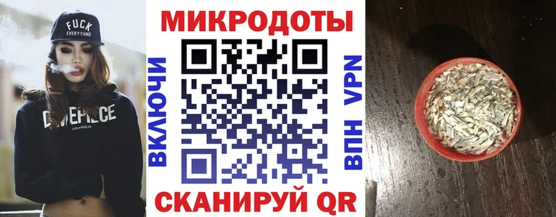 что такое   Дубна  Псилоцибиновые грибы Psilocybine cubensis 