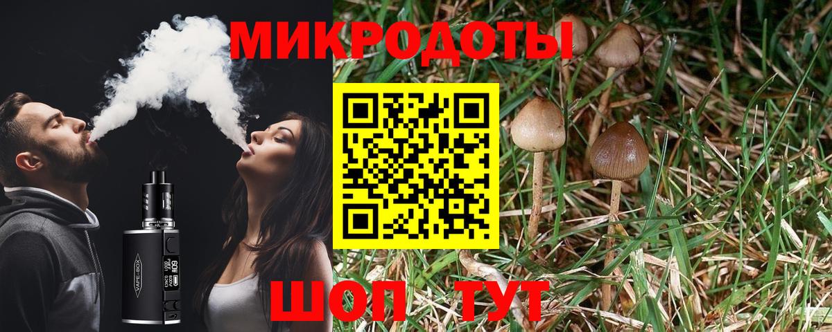 как найти закладки  Вход с VPN  Дубна  Псилоцибиновые грибы мицелий 