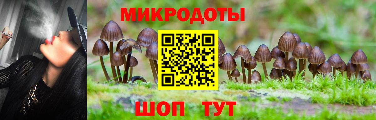 Псилоцибиновые грибы мухоморы Дубна
